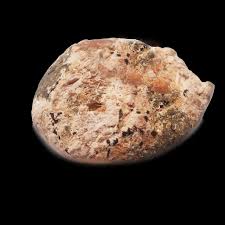 Ethiopian Chocolate Opal - The Fossil Cartel