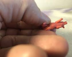 Buy Vintage Polly Pocket Figure / Accessory - Pink Pig - Rare Vintage Polly Pocket Styled Mini Figure Online in India - Etsy