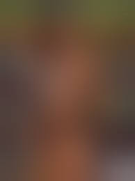 Playboy April 2008 Adult Magazine: unknown author: Amazon ...