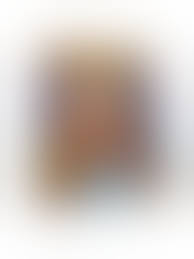 Vintage Playboy Magazine ~ July 1987 ~ Beach Party! Sun ...