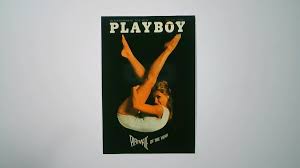 1995 Playboy Centerfold Collector Card May #31 Donna ...