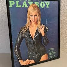 Playboy Art - May 1971 - Original Cover - Diane Davies ...