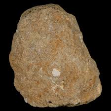 2.3" Mosasaur Prognathodon Fossil Tooth Rooted In Matrix Cretaceous Dinosaur Era | eBay