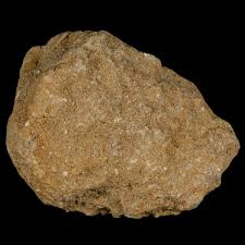 1.8" Plesiosaur Zarafasaura Tooth Fossil in Matrix Cretaceous Dinosaur Era Khouribga Morocco Certificate of Authenticity Free Shipping - Etsy