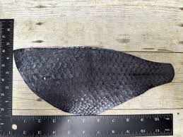 Tilapia Leather Genuine Fish Skin Taxidermy Hide Salmon ...
