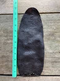 1 { One Side of One Tail } XX Large Un-tanned Beaver 1/2 ...