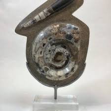 Agate Slice | William & Wesley Co.