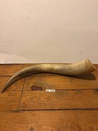 Hill Country Longhorn horn cattle ranch Western cowboy ...