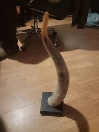 20" tall Longhorn On Stand very beautiful piece | eBay