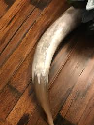 Rustic Western Cow Horn Cowhorn Tabletop or Fireplace Mantel ...