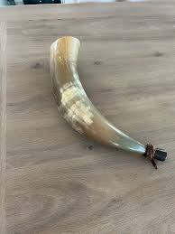 Antique Powder Horn | Chairish