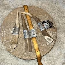 Dentley's | Dog | Deer Antlers For Your Dog | Poshmark