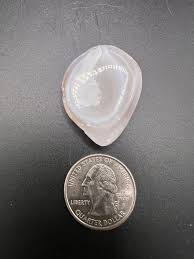 Oco Agate | .30oz Polished Gemstone - Etsy