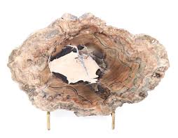 Sold at Auction: ANCIENT PETRIFIED WOOD SLAB W/STAND
