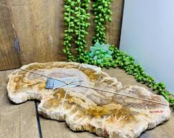 Petrified Wood Slab - Etsy