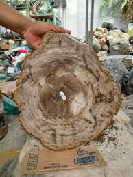 4.9kgs/506(36x31x2)cm Amazing Bicolors Pink and White" of Opalized Petrified Wood Full Polished Surface Rare Collection - Etsy Ireland