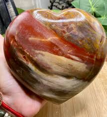Polished Petrified Wood Heart PETHRT10 - Etsy