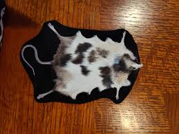 Real Taxidermy Mouse Pelt Rug - Etsy
