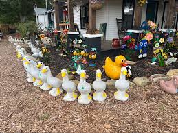 Braemor Gardens (@braemor.gardens) | TikTok