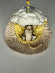 Fitz & Floyd Charming Tails - Happy Birthday - 97/715 ...