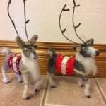 Wistyria Editions 100% Wool Roving - Olive, 14"