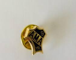 American Motorcycle Association AMA Member 9 Year Anniversary Gold Tone Lapel Hat Tie Pin Souvenir Vintagefindsfound Sealed - Etsy