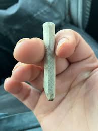 Can you please tell me what kind of tree this is : r/trees