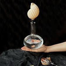 Seashell Wine Stopper: Coastal Bar Decor, Unique Wine Lover ...