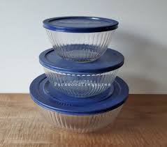 Vintage Pyrex Clear Sculptured Ribbed Mixing Bowls & Storage ...