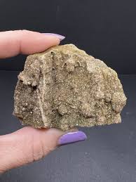 Smoky Quartz On Crystallized Petrified Wood From Brilliant ...