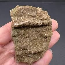 Accents | Petrified Wood With Smoky Quartz | Poshmark