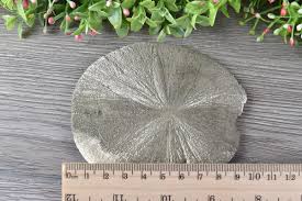 Large Pyrite Sun / Pyrite Dollar from Illinois, USA 10.9 cm # 19447 | eBay