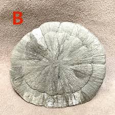 Pyrite "Sun" (Sparta, Illinois) – Taos Rockers