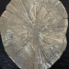 Pyrite Sun - Pyrite Mineral Sun - Etsy