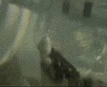 ihatefacebook1 | Flickr