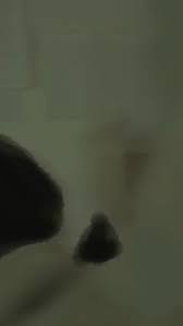 🖤 Хипнотични ритми, мрачен синт-поп и глас, който звучи ...