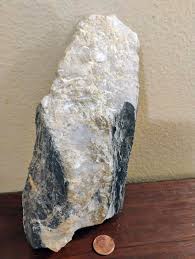 Petrified wood quartz crystals fossils stones