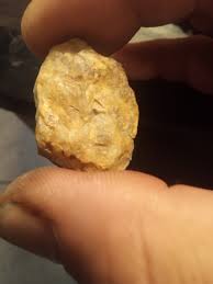 Very Rare Petrified Octopus - Etsy