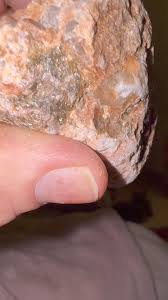 Hi I found these 22/10/24 on an Aberdeenshire beach. I was wondering if anyone knew what they was. Thank you 🙏 | Facebook