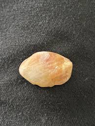 What stone is this? Found on the shore of Alabama : r/whatsthisrock