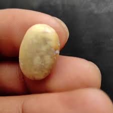 Natural Yellow Green Lemon Chrysoprase Cabochon 21X13X5 MM Oval Shape Designer Lemon Chrysoprase Smooth Polished Gemstone for Jewelry C6025 - Etsy