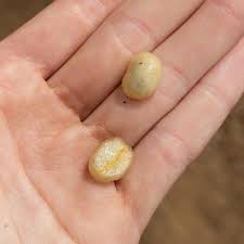 4WKS | Understanding the Numbers with @bluebirdcoffeeroastery. Across the world, the coffee supply chain is unfair. Farmers at the base of the... | Instagram