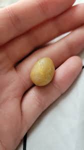 I've had this stone for a couple of years and have no idea what it is. Any guesses? : r/whatsthisrock