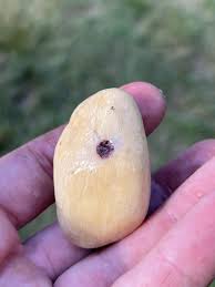 Is this moonstone? : r/whatsthisrock