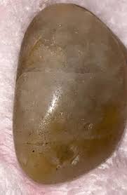 Found it in my yard : r/whatsthisrock