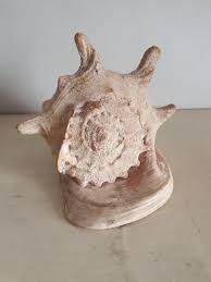 Large Vintage Conch Shell Decorative Piece, Natural Marine Specimen, Coastal Decor, 24.5 Cm Long, Weighs 1515g, Vintage Shell From Greece. - Etsy