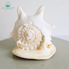 Horned Helmet – Just Beachy Gifting