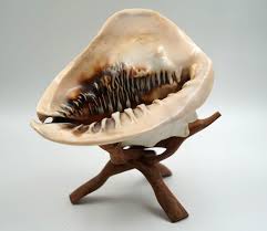 Beautiful Vintage Large NATURAL Conch Sea Shell 2 lbs 12 oz ...