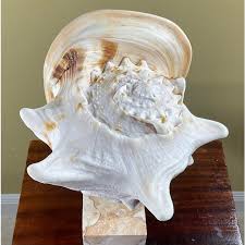 Sea Shell and Quartz Crystal Sculpture by Joseph Malekan | Chairish