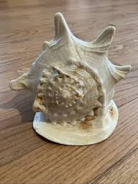 Queen Helmet Shell for sale | eBay